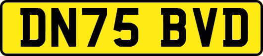 DN75BVD