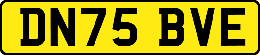 DN75BVE