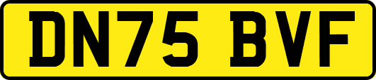 DN75BVF