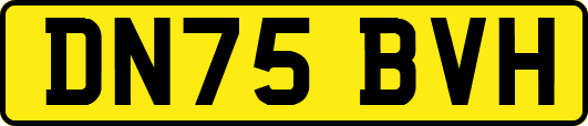DN75BVH