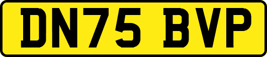 DN75BVP