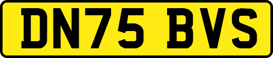DN75BVS