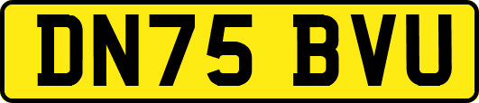 DN75BVU