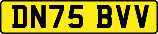 DN75BVV