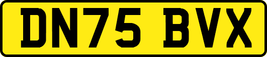 DN75BVX