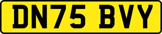 DN75BVY