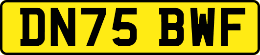 DN75BWF