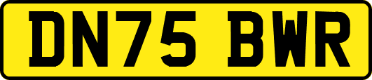 DN75BWR