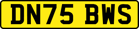 DN75BWS