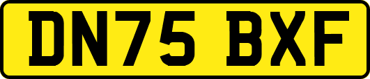 DN75BXF