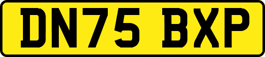 DN75BXP