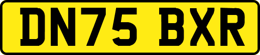 DN75BXR