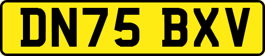 DN75BXV