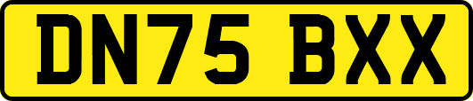 DN75BXX