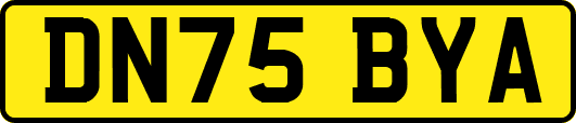 DN75BYA