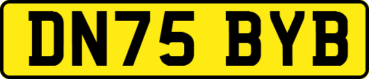 DN75BYB