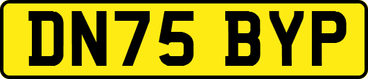 DN75BYP