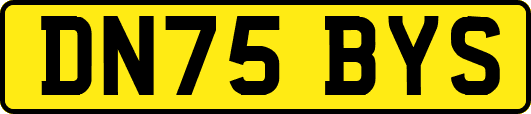 DN75BYS