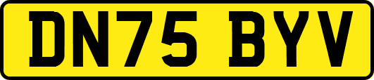 DN75BYV