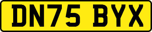 DN75BYX