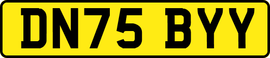 DN75BYY