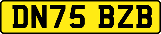 DN75BZB
