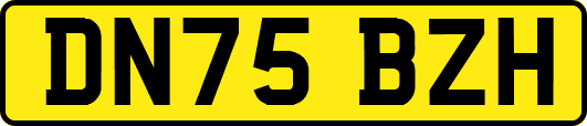 DN75BZH