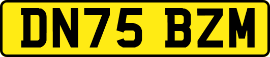 DN75BZM
