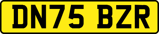 DN75BZR
