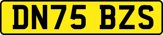 DN75BZS