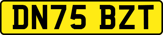 DN75BZT