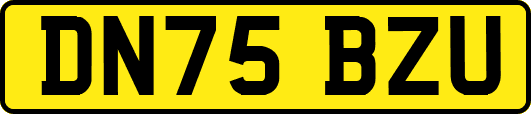 DN75BZU