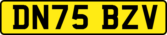 DN75BZV