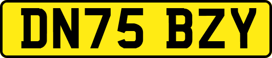 DN75BZY
