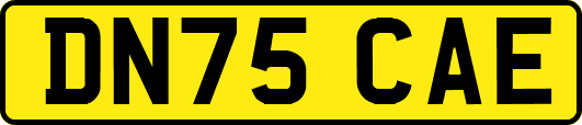 DN75CAE