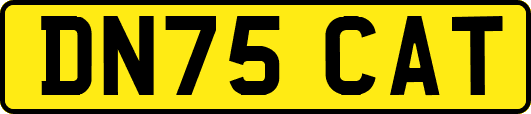 DN75CAT