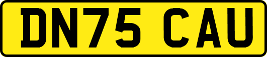 DN75CAU