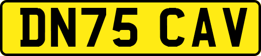 DN75CAV