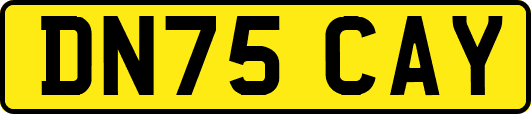 DN75CAY