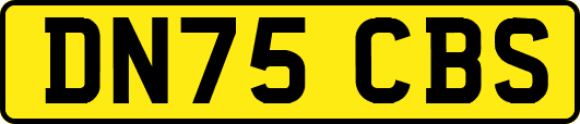 DN75CBS