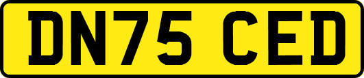 DN75CED