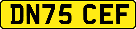 DN75CEF