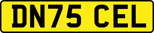 DN75CEL
