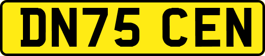 DN75CEN