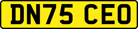 DN75CEO