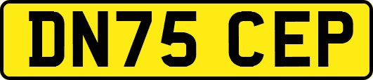 DN75CEP