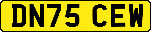 DN75CEW