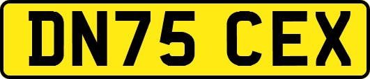 DN75CEX
