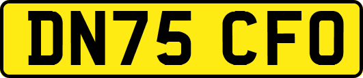 DN75CFO