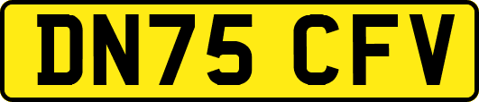DN75CFV